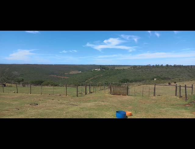 9HA FARM FOR SALE IN UITENHAGE CENTRAL